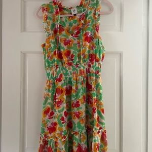 CAbi spirit dress size small